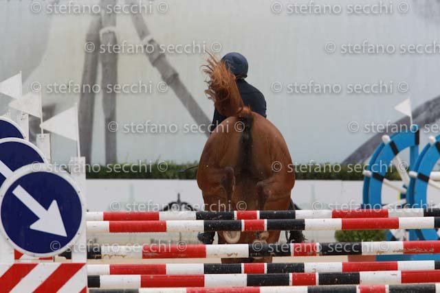 FERRARIO_PAZZA IDEA_GIO CAV 2011_SS3_8875.jpg